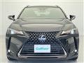 2021 Lexus UX