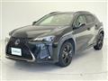 2021 Lexus UX