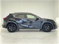 2021 Lexus UX