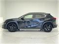 2021 Lexus UX