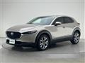 2023 Mazda CX-3