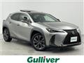 2019 Lexus UX