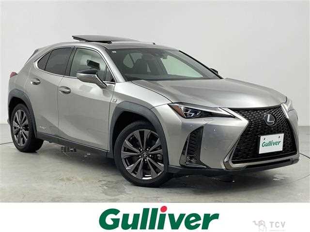 2019 Lexus UX