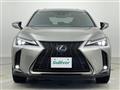 2019 Lexus UX
