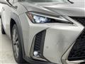 2019 Lexus UX