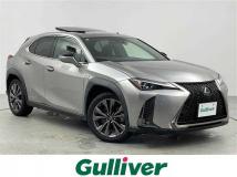 2019 Lexus UX