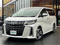 2019 Toyota Alphard
