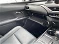 2019 Lexus UX