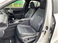2019 Lexus UX