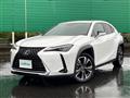 2019 Lexus UX
