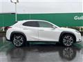 2019 Lexus UX