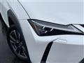 2019 Lexus UX
