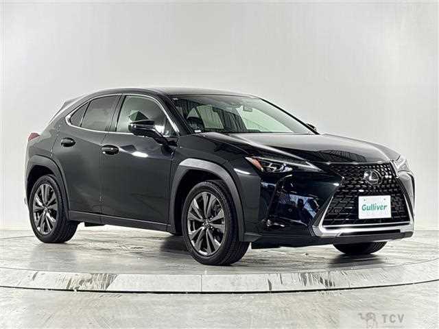 2021 Lexus UX