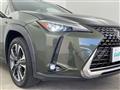 2023 Lexus UX