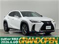 2019 Lexus UX