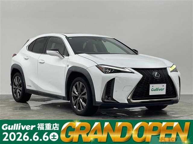 2019 Lexus UX