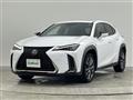 2019 Lexus UX