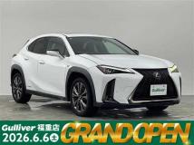 2019 Lexus UX