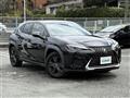 2020 Lexus UX