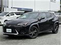 2020 Lexus UX