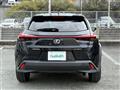 2020 Lexus UX