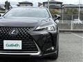 2020 Lexus UX