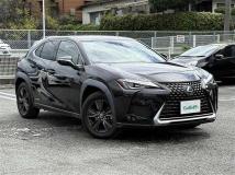2020 Lexus UX