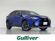 2022 Lexus NX
