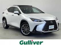 2023 Lexus NX