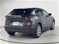 2020 Mazda CX-3