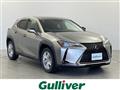 2021 Lexus UX