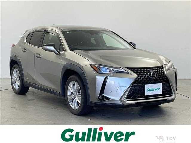 2021 Lexus UX