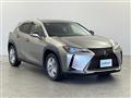 2021 Lexus UX