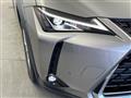 2021 Lexus UX