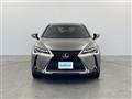 2021 Lexus UX