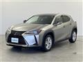 2021 Lexus UX