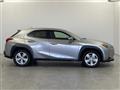 2021 Lexus UX