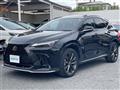 2021 Lexus NX