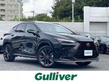 2021 Lexus NX
