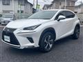 2018 Lexus NX