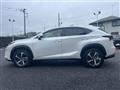 2018 Lexus NX