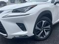2018 Lexus NX