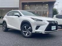2018 Lexus NX