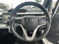 2019 Mazda Flair