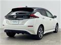 2020 Nissan Leaf