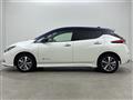 2020 Nissan Leaf