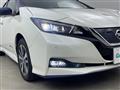2020 Nissan Leaf