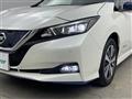 2020 Nissan Leaf