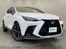 2022 Lexus NX