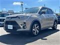 2019 Toyota Raize